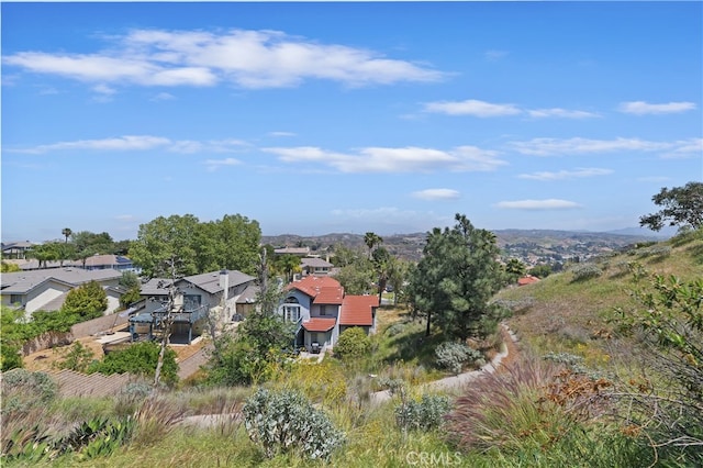 2162 Wild Canyon Dr, Colton, CA 92324 - photo 48