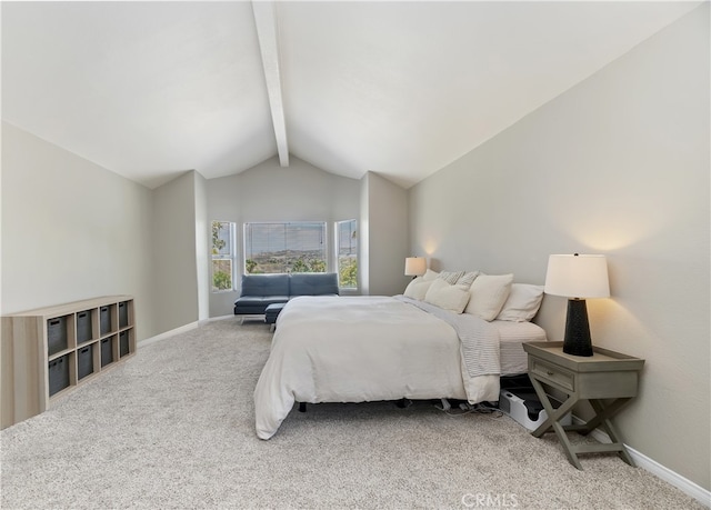 2162 Wild Canyon Dr, Colton, CA 92324 - photo 38