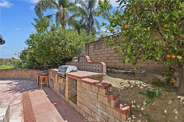 2162 Wild Canyon Dr, Colton, CA 92324 - photo 45