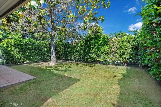 4134 Rio Hondo Ave, Rosemead, CA 91770 - view of green lawn