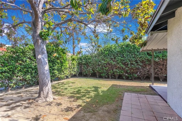4134 Rio Hondo Ave, Rosemead, CA 91770 - view of green lawn with a patio area