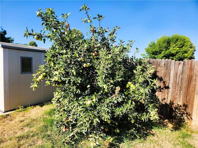 186 S Massachusetts St, Lake Elsinore, CA 92530 - view of yard