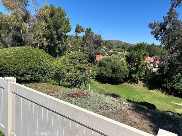 26226 Rainbow Glen Dr, Newhall, CA 91321 - view of yard