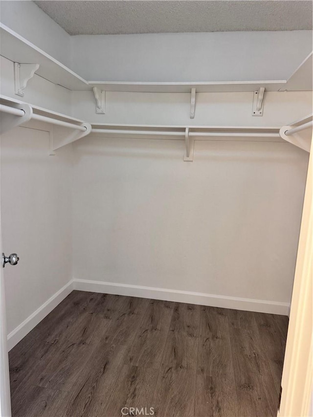 26226 Rainbow Glen Dr, Newhall, CA 91321 - walk in closet with wood finished floors