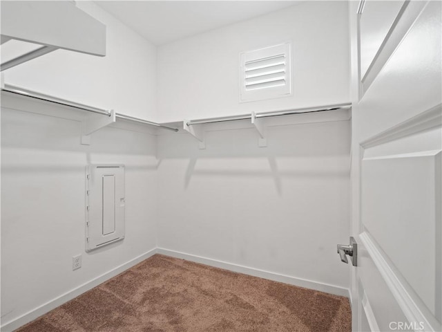 27148 Valley Oak Pl, Valencia, CA 91381 - walk in closet with electric panel and carpet