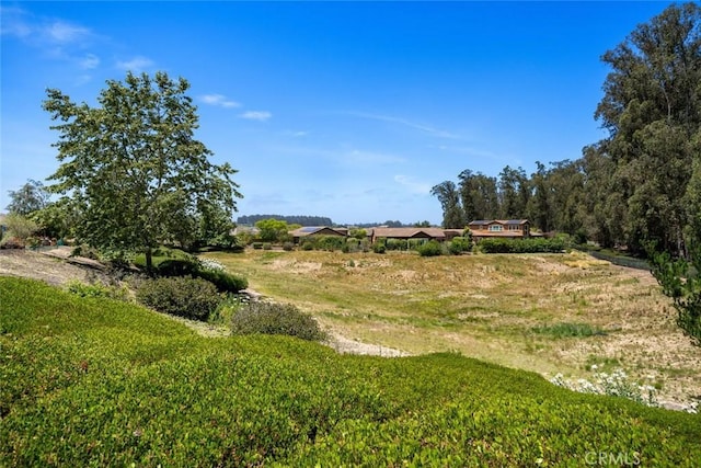 1012 Maggie Ln, Nipomo, CA 93444 - view of yard