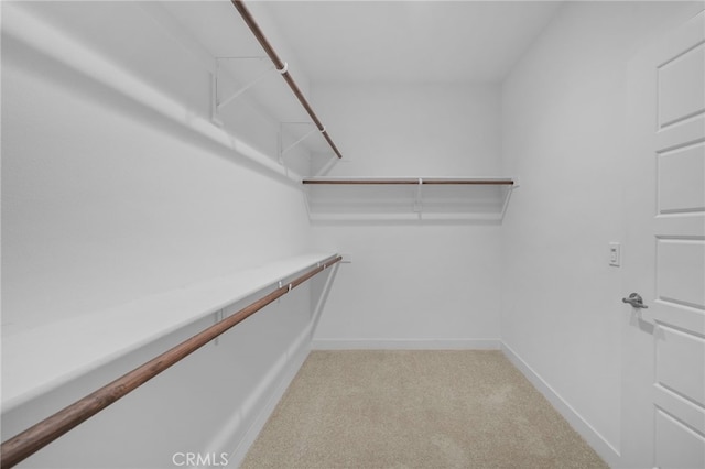1649 Spring Run Ln, Beaumont, CA 92223 - walk in closet featuring light carpet