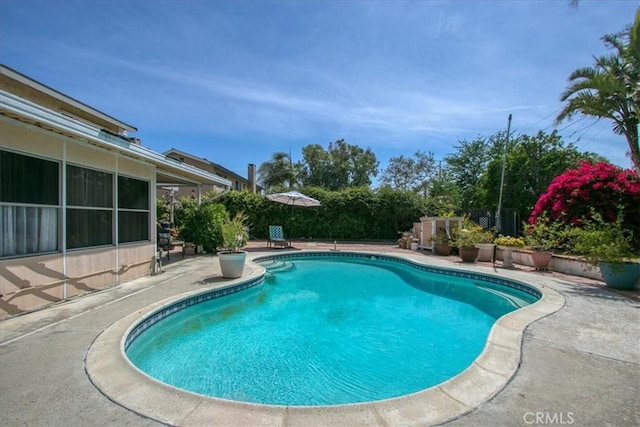 2374 Corydon Ave, Norco, CA 92860 - view of pool with a patio area