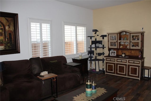 31256 Firestone St, Temecula, CA 92591 - living room with dark wood-style flooring