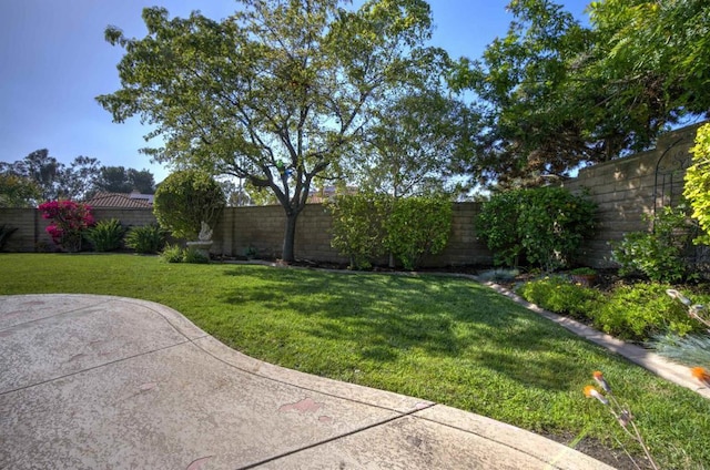 2044 Columbus Way, Vista, CA 92081 - fenced backyard featuring a patio area