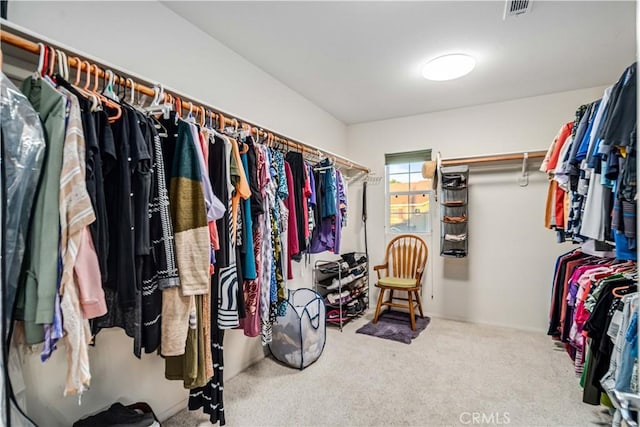 40209 Chelsea Ct, Palmdale, CA 93551 - walk in closet featuring carpet