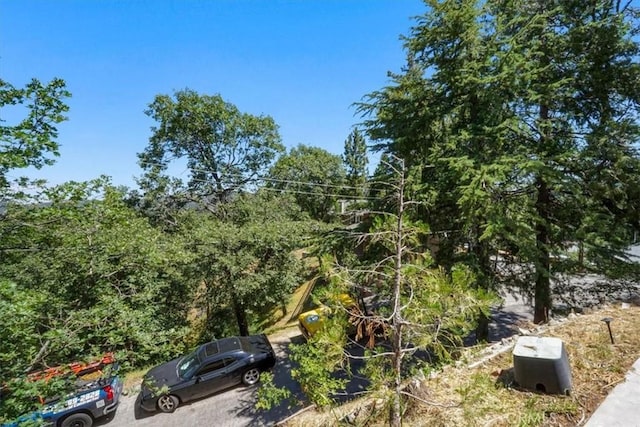 182 Darfo Dr, Crestline, CA 92325 - view of local wilderness
