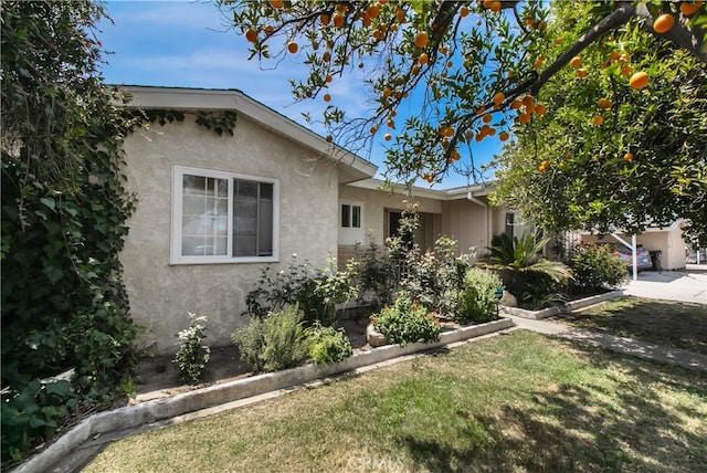 8527 Casaba Ave, Winnetka, CA 91306 - view of front of house with stucco siding and a front yard