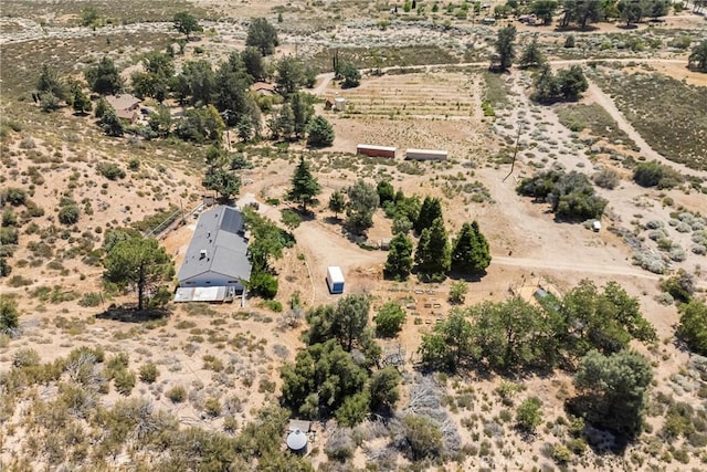 26865 Pine Canyon Rd, Lake Hughes, CA 93532 - aerial view of sparsely populated area featuring a desert landscape