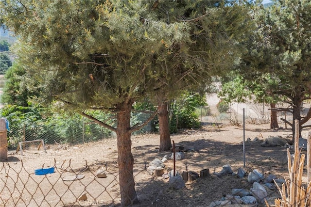 26865 Pine Canyon Rd, Lake Hughes, CA 93532 - view of yard