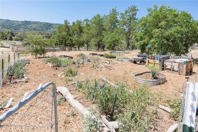 26865 Pine Canyon Rd, Lake Hughes, CA 93532 - view of yard featuring a vegetable garden and a view of countryside