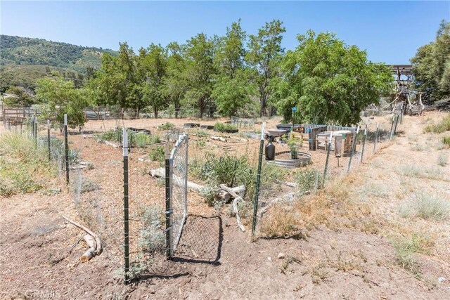 26865 Pine Canyon Rd, Lake Hughes, CA 93532 - view of yard featuring a vegetable garden and a view of rural / pastoral area