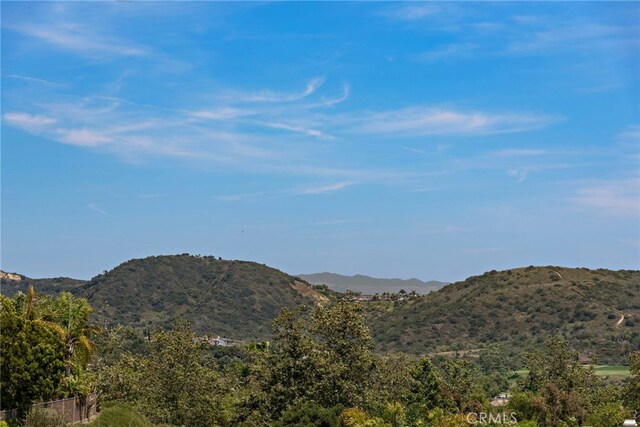 8 Calle Saltamontes, San Clemente, CA 92673 - photo 36