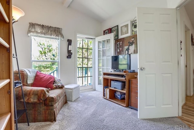 1750 W Citracado Pkwy Unit 157, Escondido, CA 92029 - living area featuring carpet