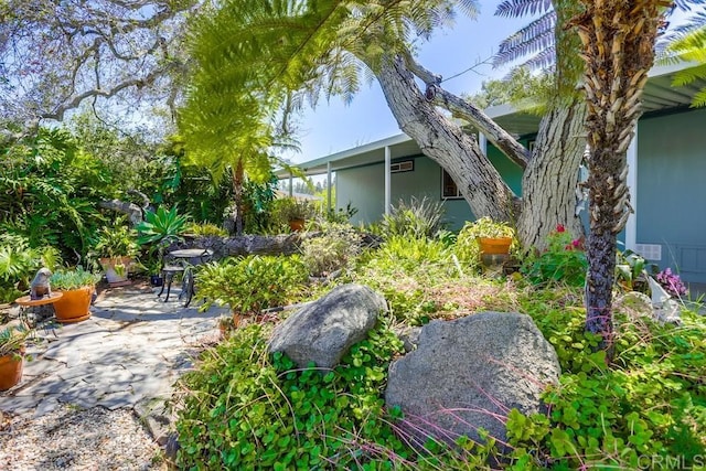 1750 W Citracado Pkwy Unit 157, Escondido, CA 92029 - view of yard with a patio area