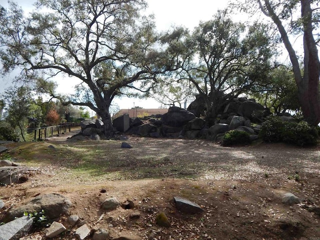 1750 W Citracado Pkwy Unit 157, Escondido, CA 92029 - view of yard