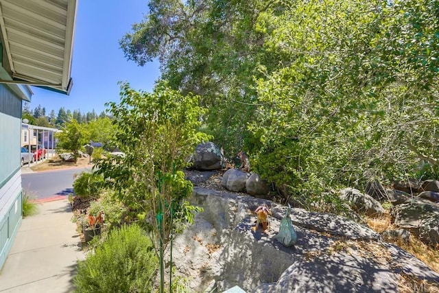 1750 W Citracado Pkwy Unit 157, Escondido, CA 92029 - view of yard
