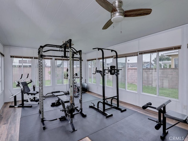 7840 La Mesa Way, Buena Park, CA 90620 - workout area featuring healthy amount of natural light and ceiling fan