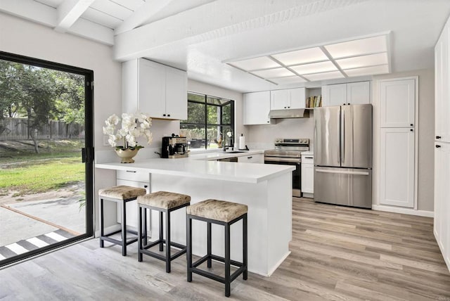 834 Cole Ranch Rd, Encinitas, CA 92024 - kitchen with stainless steel appliances, under cabinet range hood, light wood-style flooring, a peninsula, and light countertops