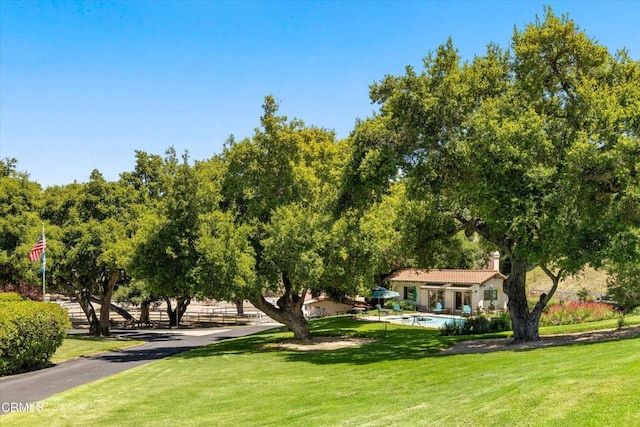 3951 Tims Rd, Santa Ynez, CA 93460 - photo 26
