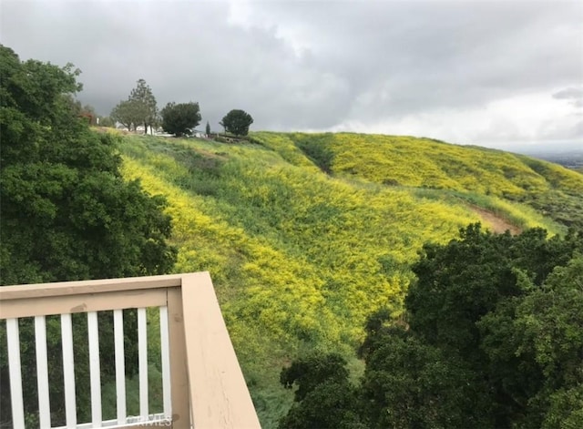 15429 Turquoise Cir N, Chino Hills, CA 91709 - view of yard