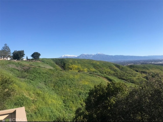15429 Turquoise Cir N, Chino Hills, CA 91709 - mountain view