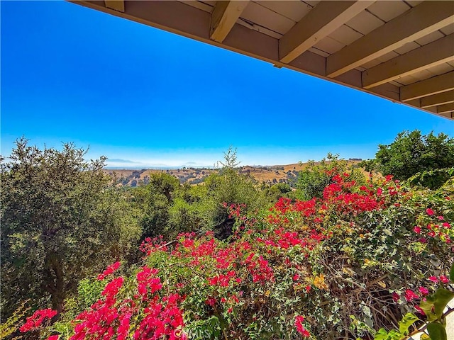 15429 Turquoise Cir N, Chino Hills, CA 91709 - view of yard