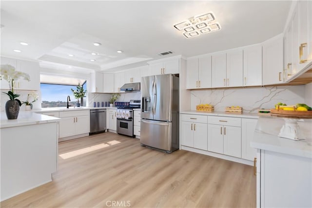 15429 Turquoise Cir N, Chino Hills, CA 91709 - kitchen featuring appliances with stainless steel finishes, under cabinet range hood, a raised ceiling, recessed lighting, and light wood-style floors