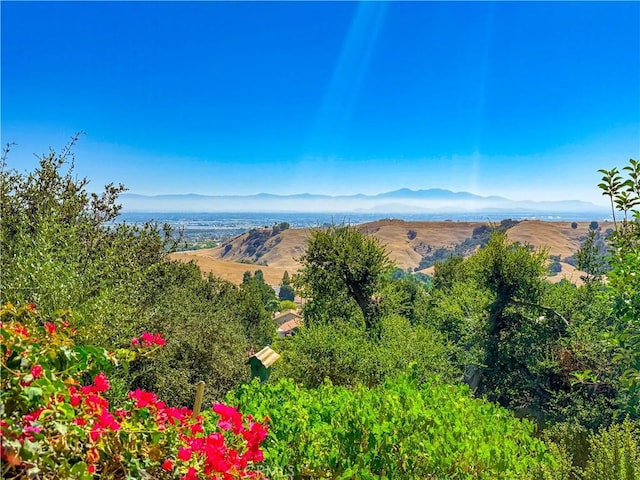 15429 Turquoise Cir N, Chino Hills, CA 91709 - water view with a mountainous background