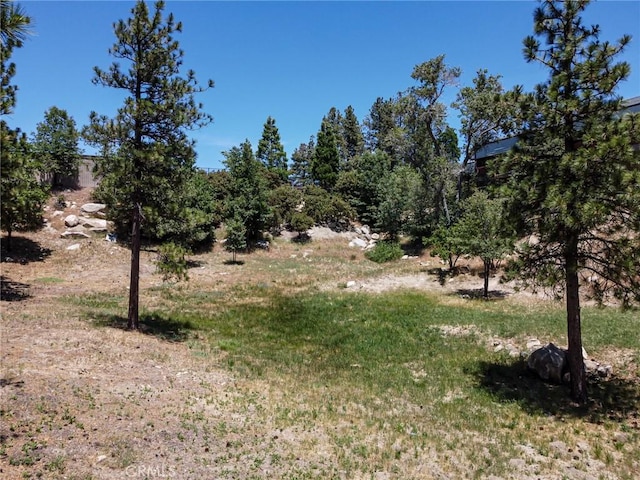 0 Halifax Dr, Lake Arrowhead, CA 92352