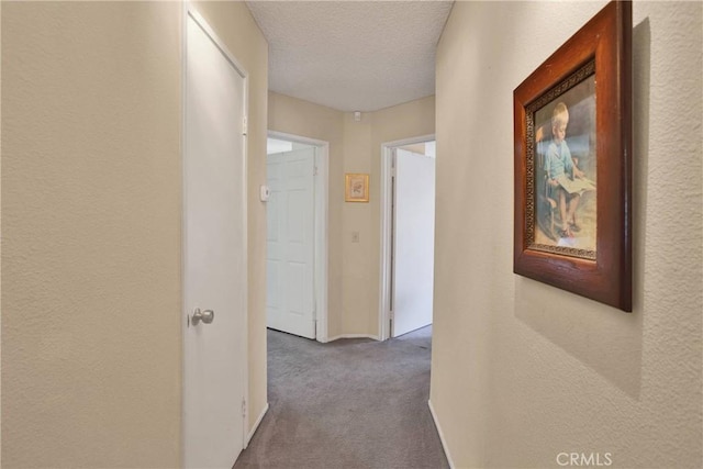 10395 Shahaptain Ave, Hesperia, CA 92345 - hallway featuring carpet flooring, a textured wall, and a textured ceiling