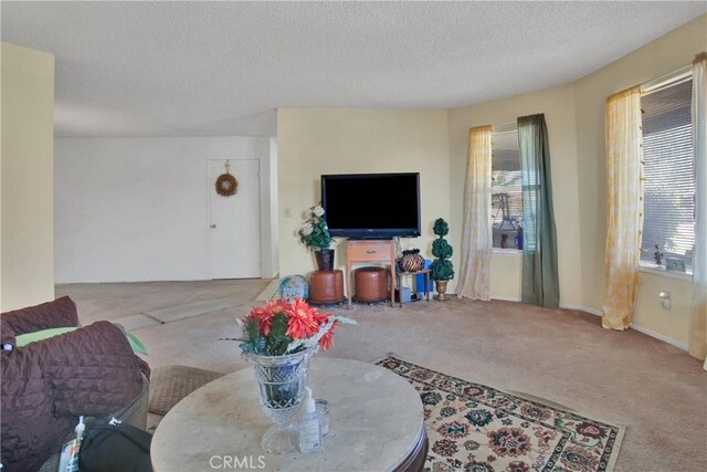 10395 Shahaptain Ave, Hesperia, CA 92345 - living area featuring carpet floors and a textured ceiling
