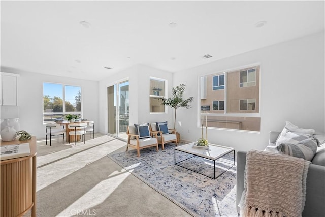 94191/2 N Sepulveda Blvd Unit 1, North Hills, CA 91343 - view of carpeted living area