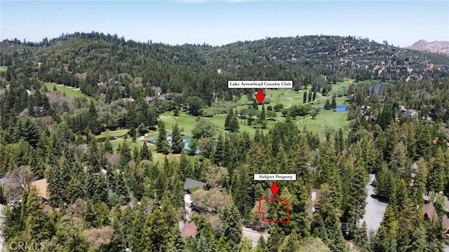 180 Grass Valley Rd, Lake Arrowhead, CA 92352