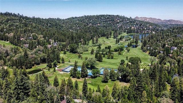 180 Grass Valley Rd, Lake Arrowhead, CA 92352