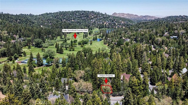 180 Grass Valley Rd, Lake Arrowhead, CA 92352