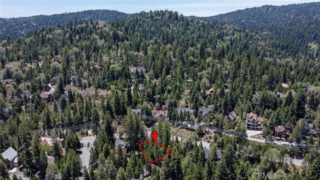 180 Grass Valley Rd, Lake Arrowhead, CA 92352