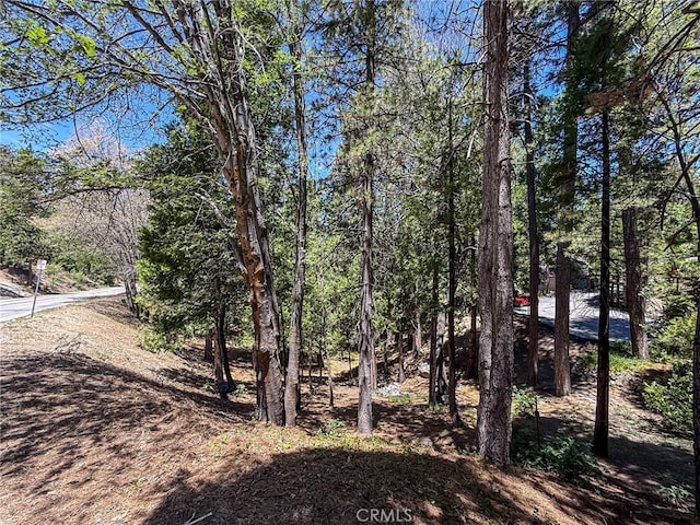 180 Grass Valley Rd, Lake Arrowhead, CA 92352