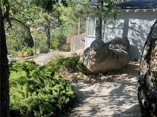 2226 Evans Dr, Arrowbear, CA 92382 - view of yard