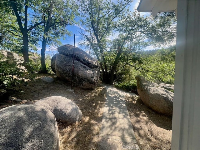 2226 Evans Dr, Arrowbear, CA 92382 - view of yard