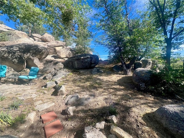 2226 Evans Dr, Arrowbear, CA 92382 - view of yard