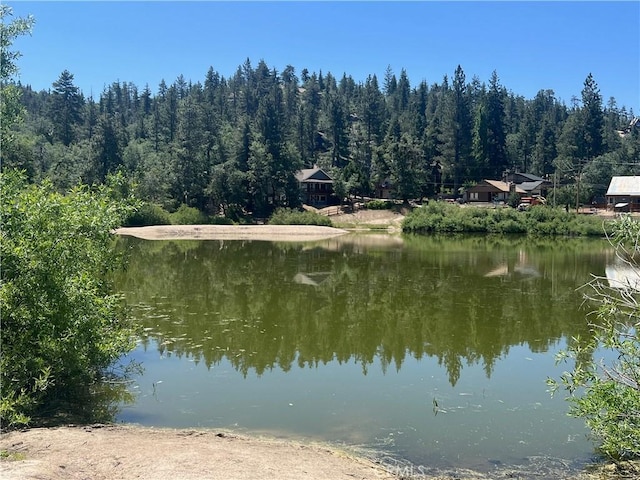 2226 Evans Dr, Arrowbear, CA 92382 - water view featuring a forest