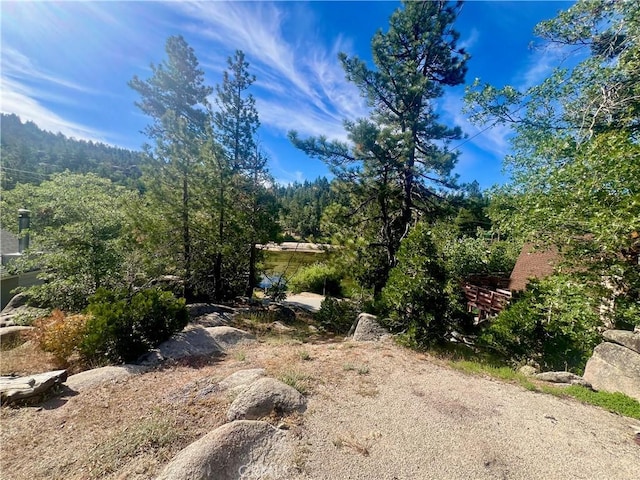 2226 Evans Dr, Arrowbear, CA 92382 - view of yard with a wooded view