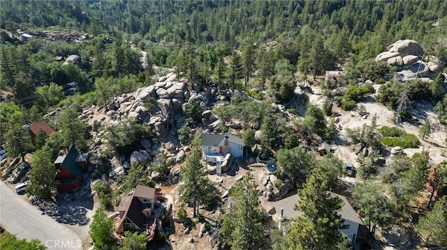 2226 Evans Dr, Arrowbear, CA 92382 - aerial overview of property's location featuring a forest