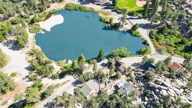 2226 Evans Dr, Arrowbear, CA 92382 - aerial view of a nearby body of water
